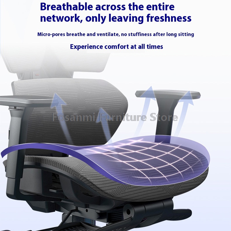Ergonomic Zoned Support Backre - Office Furniture Zone ulasan dan harga